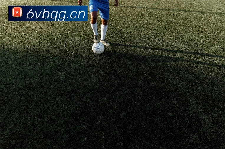 乐鱼官网入口首页APP 封面图